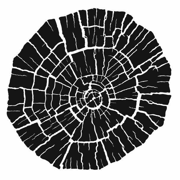 Černá stopa dřevěné textury. Prsteny stromů z plátku kmene. Suché prasklé dřevěné kroužky, izolované na bílém pozadí. Vektor  - Vektor, obrázek
