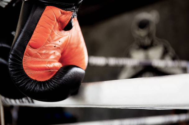 Boxing gloves hanging on rope of the boxing ring. - Φωτογραφία, εικόνα