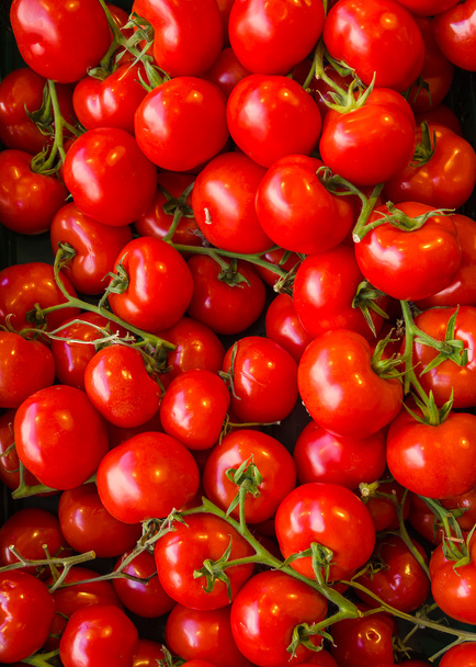 Red tomatoes at vegetables market. - Photo, Image