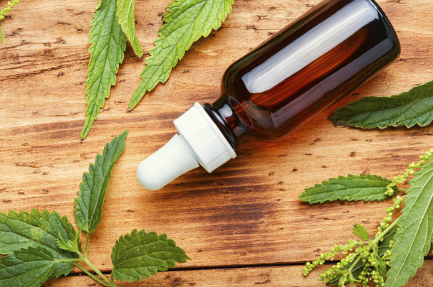 Glass bottle of nettle essential oil with fresh nettle leaves on wooden background - Foto, Imagen
