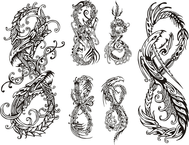 Dragons stylisés comme chiffre huit
 - Vecteur, image