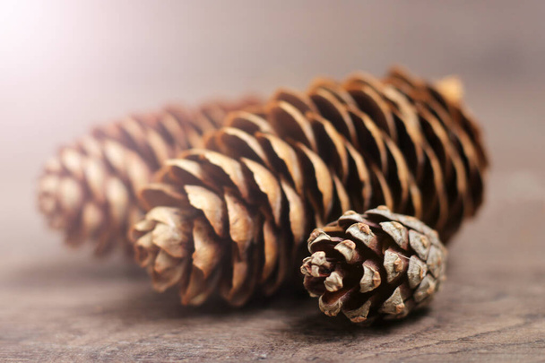 cones de pinheiro em fundo de madeira, natureza
 - Foto, Imagem