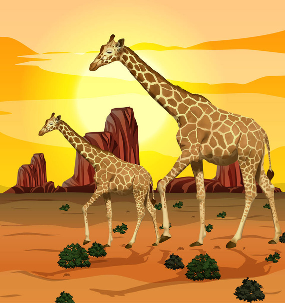 Zsiráf a természet háttér illusztráció - Vektor, kép