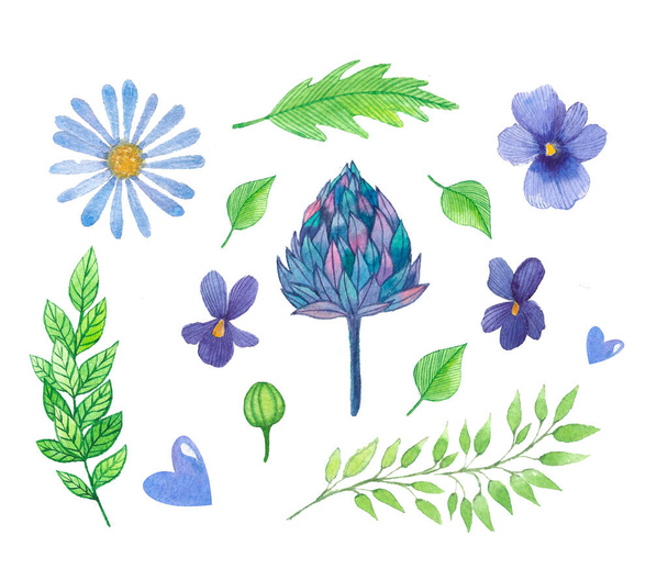 Akvarel set s letními květinami a listy. Květiny heřmánku, teplouše, artyčoku - Fotografie, Obrázek