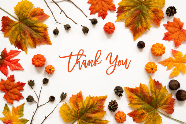 Bright Colorful Autumn Leaf Decoration, English Text Thank You - Foto, immagini