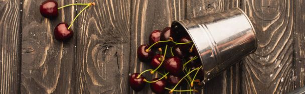 top view of ripe sweet cherries scatted from metal bucket on wooden surface, panoramic shot - Foto, Imagem