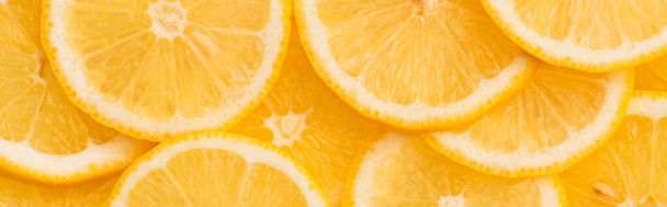 top view of sliced fresh and ripe yellow lemons, panoramic shot - 写真・画像