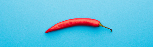 vrchní pohled na pikantní červené chilli pepř na modrém pozadí, panoramatický záběr - Fotografie, Obrázek