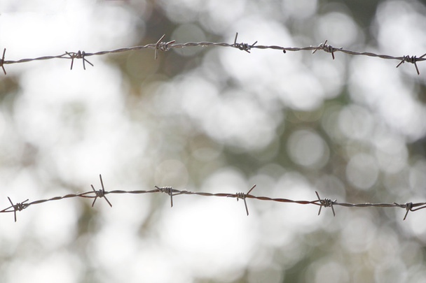 barbed wire fence. - Photo, Image