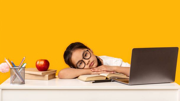 Overworked Schoolgirl Sleeping Sitting At Laptop, Panorama, Studio Shot - Photo, Image