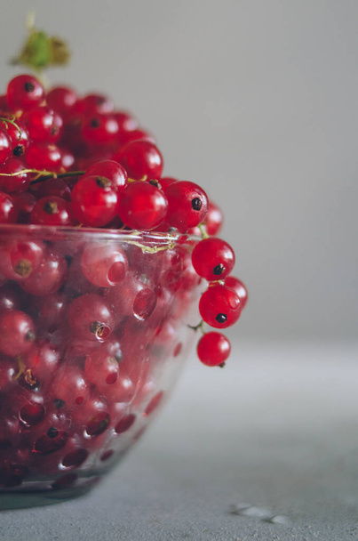 Bright macro of fresh ripe red currant in glass bowl - Foto, afbeelding