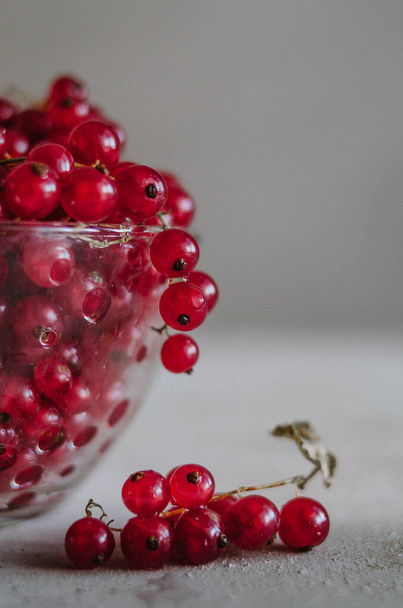 Bright macro of fresh ripe red currant in glass bowl - Foto, afbeelding