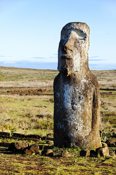 Standing moai in Easter Island - Photo, Image