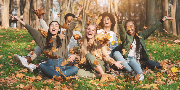 Giovani amici spensierati che scattano foto con foglie autunnali nel parco - Foto, immagini