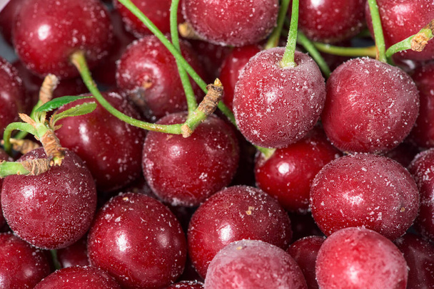frozen cherries are covered with ice crystals and frost for winter home preparation in the freezer - Photo, image