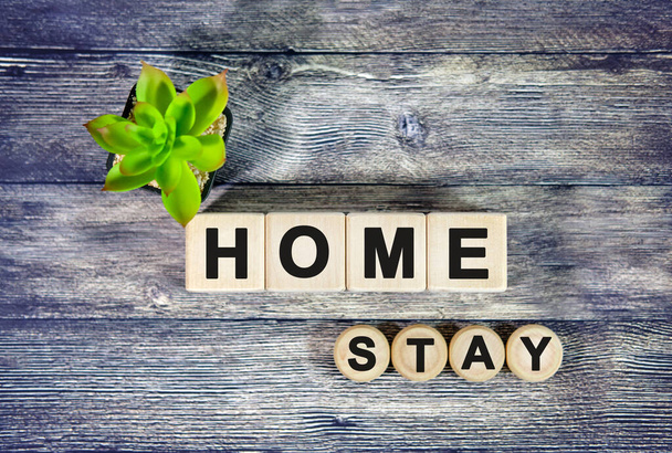 Stay home - text on wooden cubes, green plant in black pot on a wooden background - 写真・画像