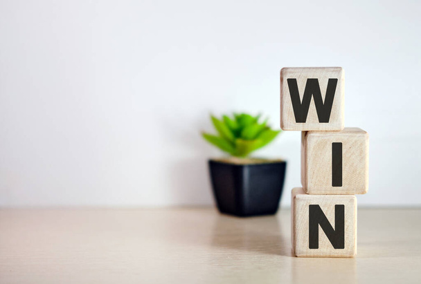 Win concept on wooden cubes and flower in a pot in the background - Photo, Image