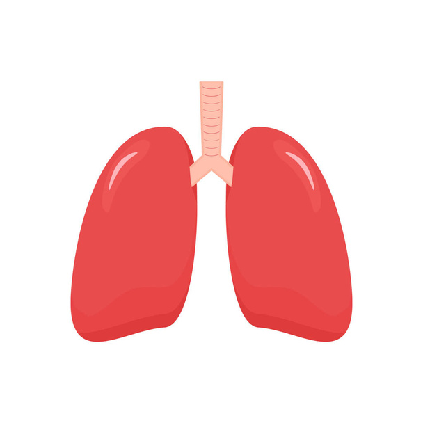 Icona polmonare in stile piatto. Illustrazione vettoriale interna dell'organo umano isolata su sfondo bianco.  - Vettoriali, immagini