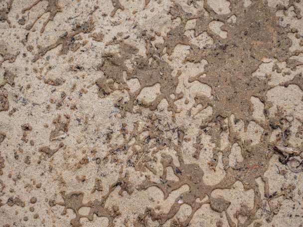 areia pedra textura fundo praia
 - Foto, Imagem