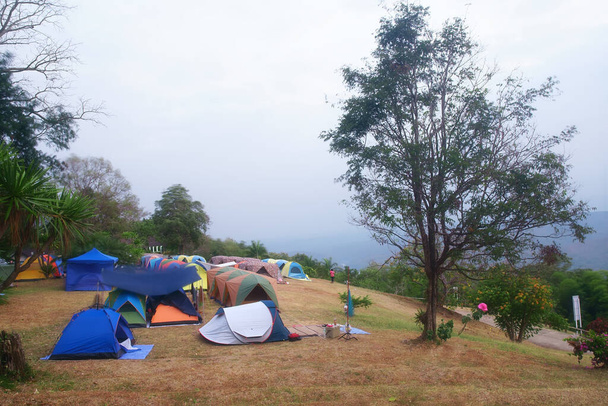 Natur-Zeltlager mit Baum auf Gras oder Rasen und grünem Berg mit Camp-Ausrüstung im Wald-Nationalpark mit Morgennebel oder Nebel für Familienurlaub Picknick im Urlaub entspannen Reisen bei doi pha chu - Foto, Bild
