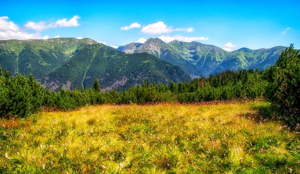 Summer mountain panoramic landscape with high hills in Western Tatras, Slovakia - Photo, Image