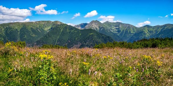 Summer Mountain panoraamanäkymät korkealla kukkuloilla Länsi-Tatrasissa, Slovakiassa - Valokuva, kuva