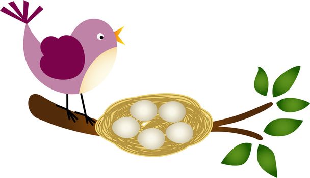 Bird with Eggs in a Nest on a Branch - Vector, Image