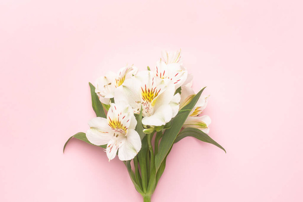 White flower Alstroemeria on a pink background with copyspace top view - Zdjęcie, obraz