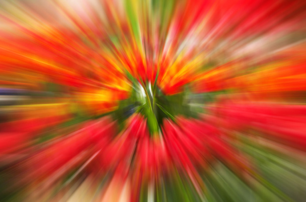 Flowers blur mition - Photo, Image