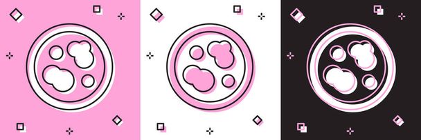 Zestaw płytek Petriego z ikoną bakterii izolowanych na różowym i białym, czarnym tle. Ilustracja wektora. - Wektor, obraz
