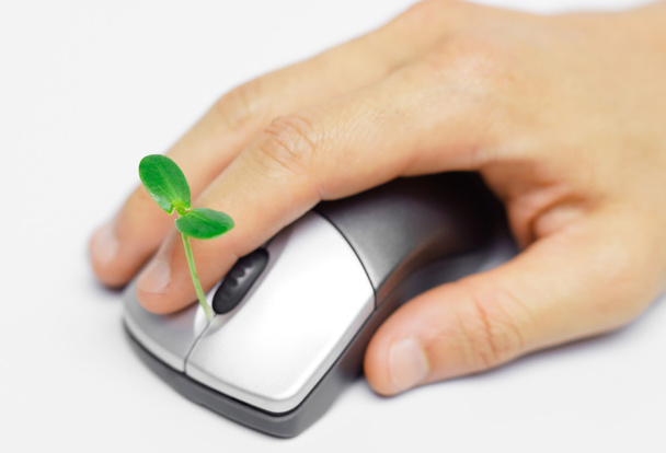 Mãos segurando uma árvore crescendo em um mouse
 - Foto, Imagem