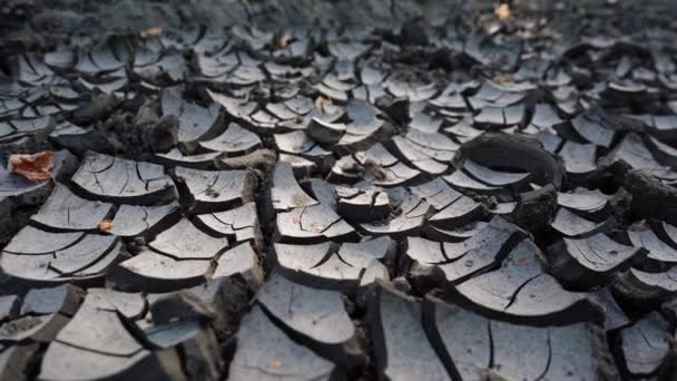 cracked land due to drought - Footage, Video
