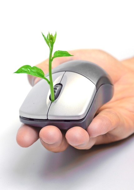 Hands holding a tree growing on a mouse - Photo, image