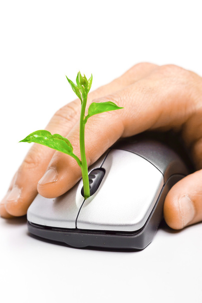 Hands holding a tree growing on a mouse - Photo, Image