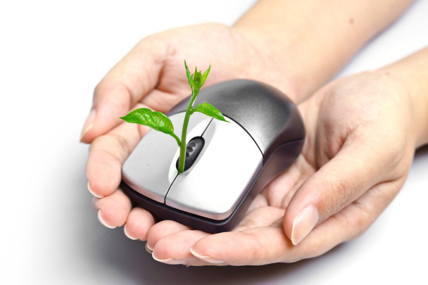 Hands holding a tree growing on a mouse - Photo, image