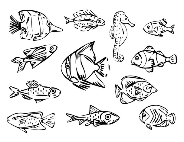 Vector fish line art illustration set, black outline illustration isolated on white background, aquarium decorative fish isolated collection - Vektör, Görsel