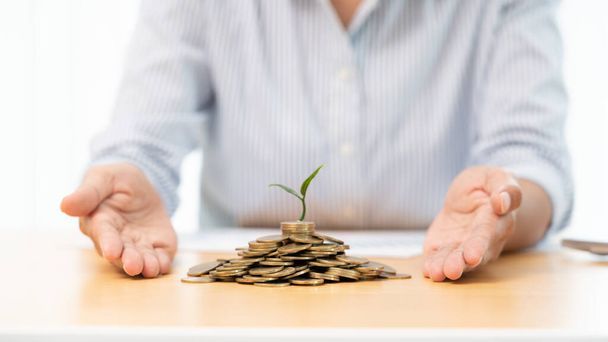 Hände von Geschäftsleuten stecken Münze in Pflanze, die aufwächst, um Gewinn zu machen, und demonstrieren finanzielles Wachstum durch Sparpläne und Investitionsprogramme - Foto, Bild