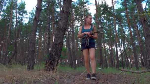 κορίτσι στο δάσος συλλέγει καυσόξυλα - Πλάνα, βίντεο