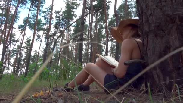 молода жінка читає книгу, відкриту в лісі
 - Кадри, відео