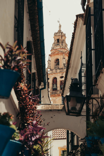 Церковь шпиль башня покрыта цветами в Кордове, Испания. - Фото, изображение