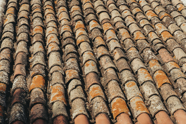 苔や植物と風化茶色のタイル屋根. - 写真・画像