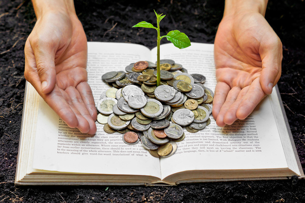 ruce péče strom, který roste z knih s mincí - Fotografie, Obrázek