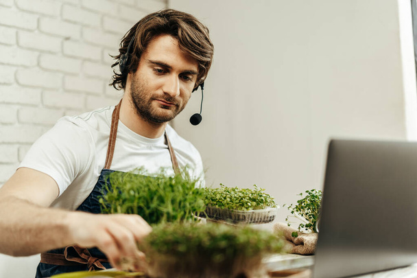 Handsome bearded man sells plant sprouts and seedlings online using laptop - Fotó, kép