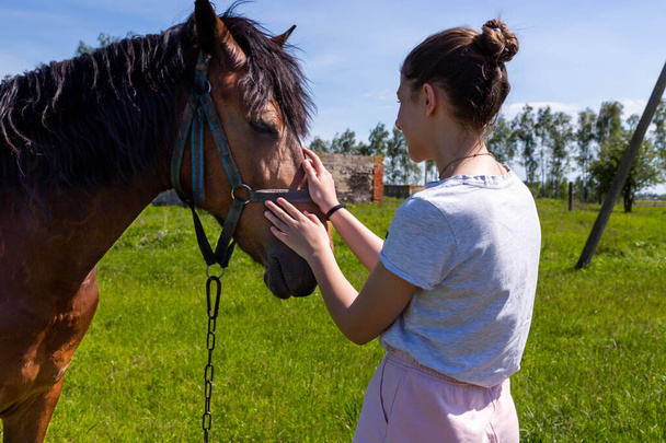 Mladá veselá puberťačka hladí hnědý koňský nos. Zelené pole venkovní. - Fotografie, Obrázek