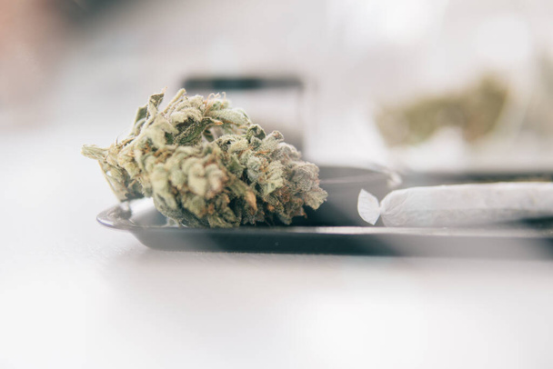 Sativa Indica medical health. Grinder and cannabis weed bud. The pot leaves on buds CBD. Marijuana nature bud close up. THC Kief in grinder. White background Vartical shot. - Фото, изображение