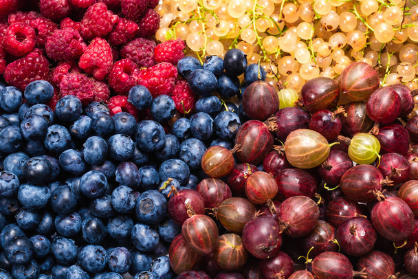 Gooseberries, blueberries, mulberry, raspberries, white and red currants background.  - Photo, Image