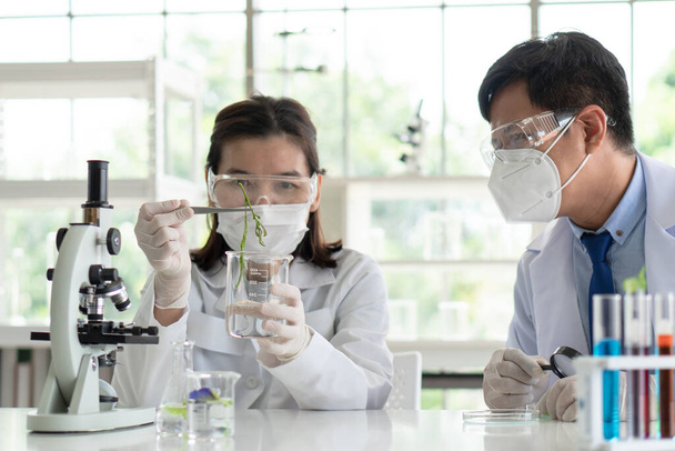 Asiatische Wissenschaftler und Assistenten mit Handschuhen experimentieren an Pflanzen, um im biotechnologischen Labor neue Medikamente und Hautpflege herzustellen. Wissenschaft und Entwicklungskonzept - Foto, Bild