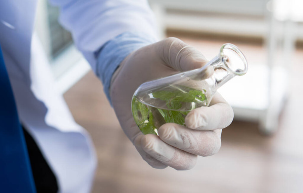 Ázsiai tudós kesztyűt visel, növényeken kísérletezik, hogy új drogot és bőrápolást végezzen a biotechnológiai laborban. tudományos és fejlesztési koncepció - Fotó, kép
