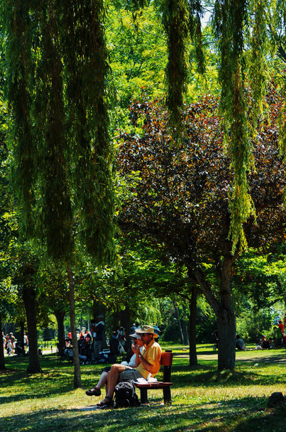 Toronto Island Park sunny scene with people - Zdjęcie, obraz