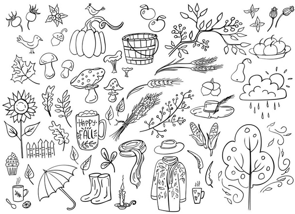 Set of doodle autumn elemetns isolated on white. Pupkin, hat, sunflower, cup,tree, mushrooms, poultry, apples, wheat. Vector illustration. Perfect for coloring book, greeting card, print. - Διάνυσμα, εικόνα